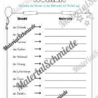 Materialpaket Fasching / Karneval: 3. Klasse (Vorschau 21)