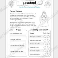 10 Lesetexte zum Thema Fasching & Karneval - Vorschaubild 05