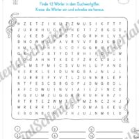 15 Rätsel zum Fasching / Karneval (Vorschau 03)