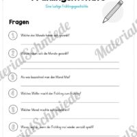 4 Geschichten zum Frühling (lustige Frühlingsgeschichte - Fragen)