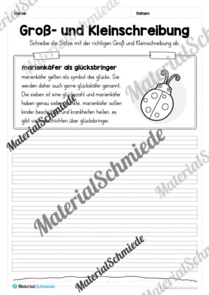 10 Abschreibtexte zum Frühling: Groß- und Kleinschreibung (2. Klasse) – Vorschau 05