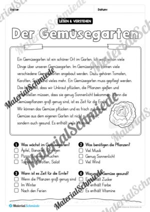 Lesen & Verstehen zum Frühling mit Ankreuzen für die 2. Klasse (10 Arbeitsblätter) – Vorschau 01