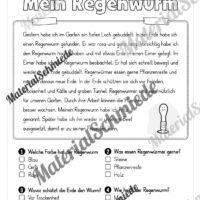 Lesen & Verstehen zum Frühling mit Ankreuzen für die 2. Klasse (10 Arbeitsblätter) - Vorschau 02