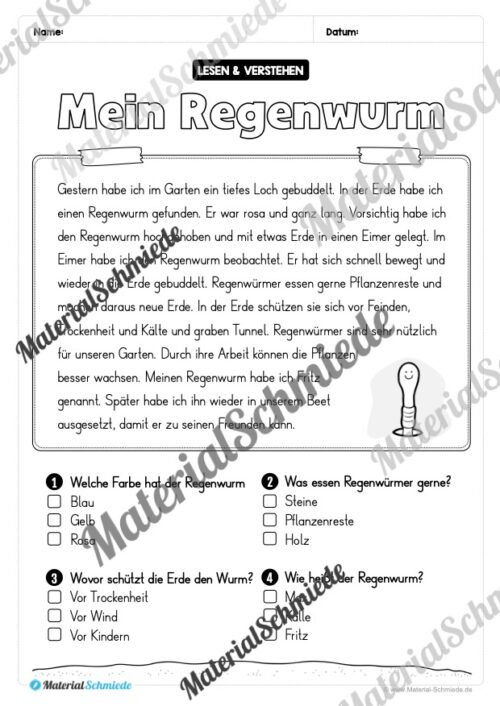 Lesen & Verstehen zum Frühling mit Ankreuzen für die 2. Klasse (10 Arbeitsblätter) - Vorschau 02