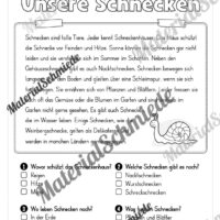 Lesen & Verstehen zum Frühling mit Ankreuzen für die 2. Klasse (10 Arbeitsblätter) - Vorschau 05