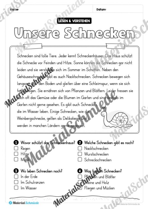 Lesen & Verstehen zum Frühling mit Ankreuzen für die 2. Klasse (10 Arbeitsblätter) - Vorschau 05