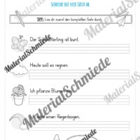 Materialpaket Frühling: 2. Klasse (Vorschau 16)