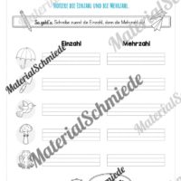 Materialpaket Frühling: 2. Klasse (Vorschau 17)