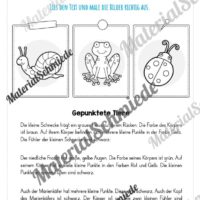 Materialpaket Frühling: 3. Klasse (Vorschau 17)