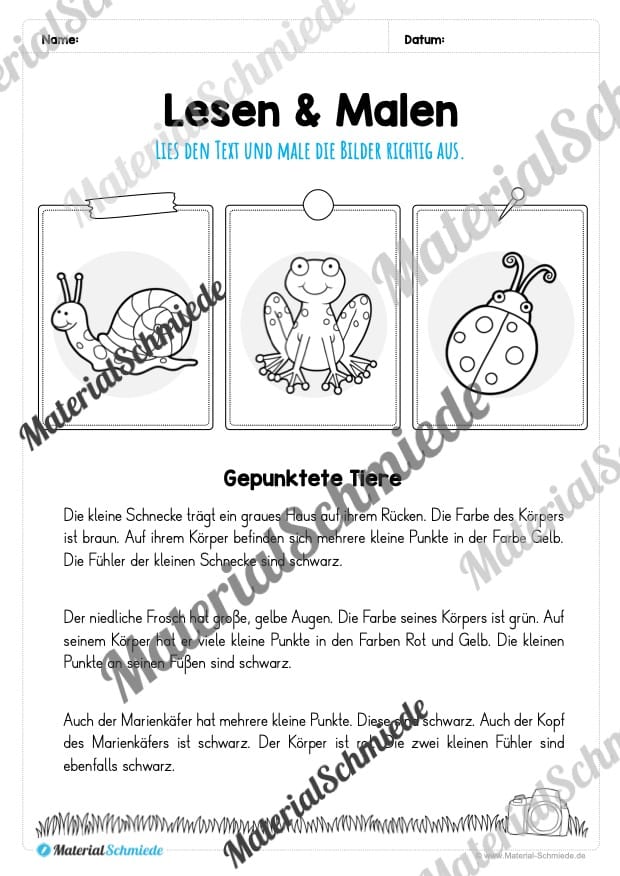 Materialpaket Frühling: 3. Klasse (Vorschau 17)