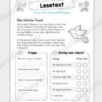 Lesetexte für die Grundschule - Vorschau 05