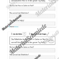 Mini-Heft: Lesetexte Frühling (1. & 2. Klasse) - Arbeitsblatt 06