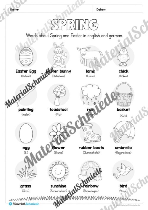 Englisch: Workbook Spring (23 Arbeitsblätter) - Arbeitsblatt 02
