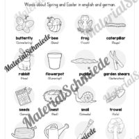 Englisch: Workbook Spring (23 Arbeitsblätter) - Arbeitsblatt 03