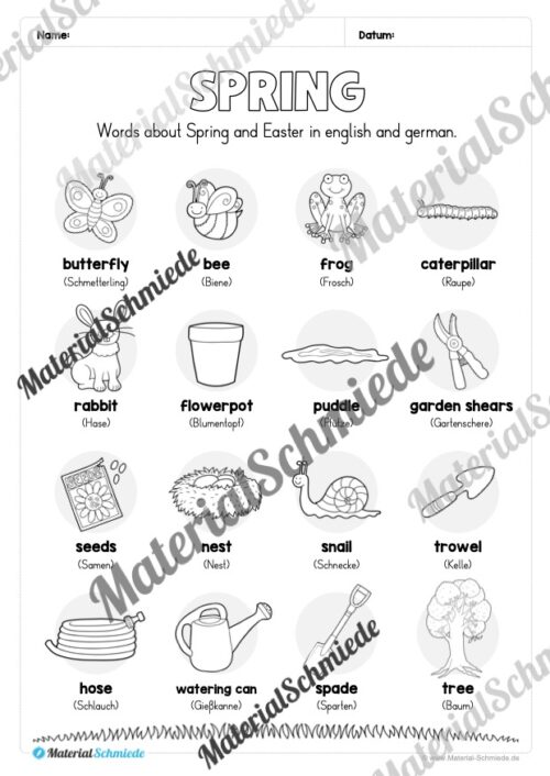 Englisch: Workbook Spring (23 Arbeitsblätter) - Arbeitsblatt 03