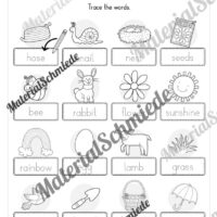Englisch: Workbook Spring (23 Arbeitsblätter) - Arbeitsblatt 04