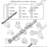 Englisch: Workbook Spring (23 Arbeitsblätter) - Arbeitsblatt 11