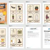 20 Flash-Cards zu Halloween (Englisch) - Überblick