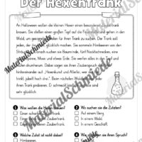Halloween: Lesen & Verstehen mit Ankreuzen (Vorschau 02)