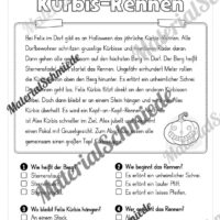 Halloween: Lesen & Verstehen mit Ankreuzen (Vorschau 10)