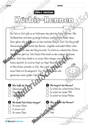 Halloween: Lesen & Verstehen mit Ankreuzen (Vorschau 10)