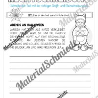 Materialpaket Halloween: 4. Klasse (Vorschau 17)