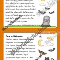 Abschreibkartei: Thema Halloween (12 Karten mit Schreibvorlagen) - Vorschau 05