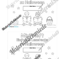 Mini-Heft: Lesetexte Halloween (1. & 2. Klasse) - Vorschau 01
