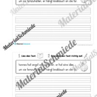 Mini-Heft: 10 Abschreibtexte zur Groß- und Kleinschreibung Thema Halloween (Vorschau 02)