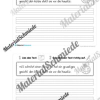 Mini-Heft: 10 Abschreibtexte zur Groß- und Kleinschreibung Thema Halloween (Vorschau 05)