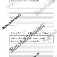 Mini-Heft: 10 Abschreibtexte zur Groß- und Kleinschreibung Thema Halloween (Vorschau 07)