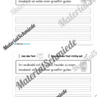 Mini-Heft: 10 Abschreibtexte zur Groß- und Kleinschreibung Thema Halloween (Vorschau 09)