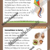 Abschreibkartei: Thema Herbst (12 Karten mit Schreibvorlagen) - Vorschau 03