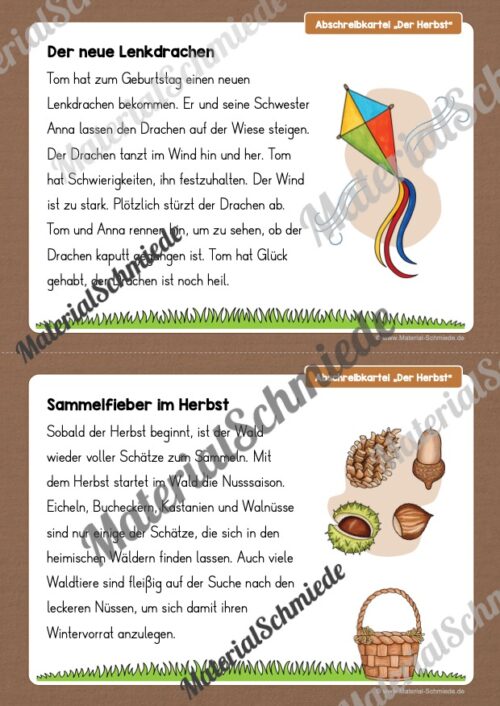 Abschreibkartei: Thema Herbst (12 Karten mit Schreibvorlagen) - Vorschau 03