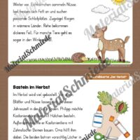 Abschreibkartei: Thema Herbst (12 Karten mit Schreibvorlagen) - Vorschau 06