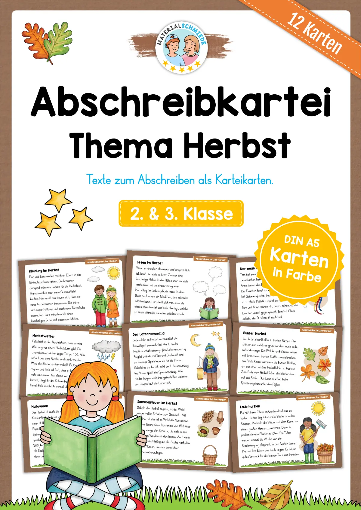 Abschreibkarten: Thema Herbst (12 Karten) - 2. & 3. Klasse