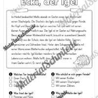 Herbst: Lesen & Verstehen mit Ankreuzen (Vorschau 01)