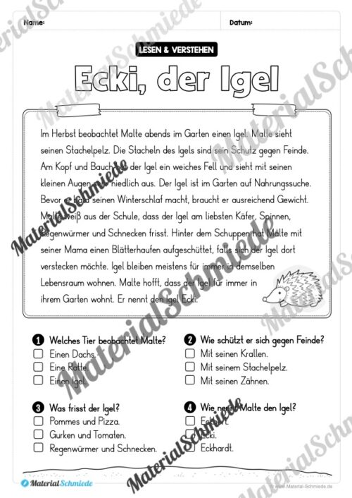 Herbst: Lesen & Verstehen mit Ankreuzen (Vorschau 01)