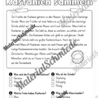 Herbst: Lesen & Verstehen mit Ankreuzen (Vorschau 03)