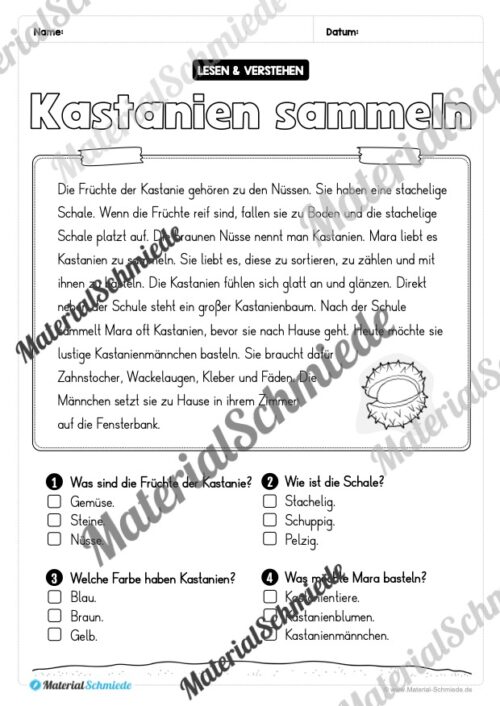 Herbst: Lesen & Verstehen mit Ankreuzen (Vorschau 03)