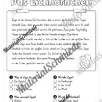 Herbst: Lesen & Verstehen mit Ankreuzen (Vorschau 07)