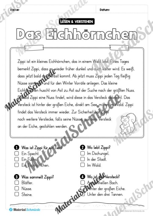 Herbst: Lesen & Verstehen mit Ankreuzen (Vorschau 07)