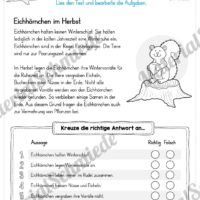 10 Leseübungen zum Herbst (Richtig oder falsch)