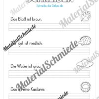 Materialpaket Herbst: 1. Klasse (Vorschau 26)