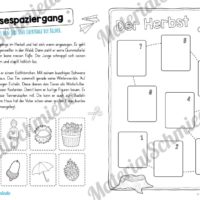 Lesespaziergang Herbst (Vorschau)