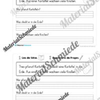 Mini-Heft: Lesetexte Sommer (1. & 2. Klasse) - Vorschau 02