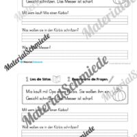 Mini-Heft: Lesetexte Sommer (1. & 2. Klasse) - Vorschau 06