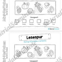 Mini-Heft: Herbst für die 1. Klasse (Lesespur)