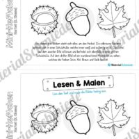 Mini-Heft: Herbst für die 2. Klasse (Lesen & Malen)