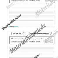 Mini-Heft: 10 Abschreibtexte zur Groß- und Kleinschreibung Thema Herbst (Vorschau 03)